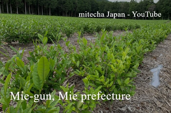 Mie-gun, Präfektur Mie