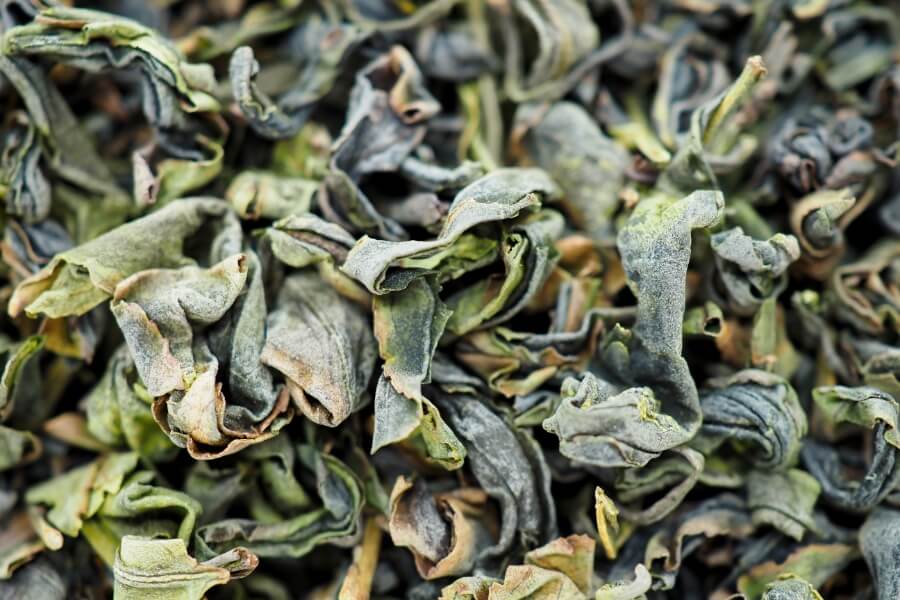 Oolong-Tee